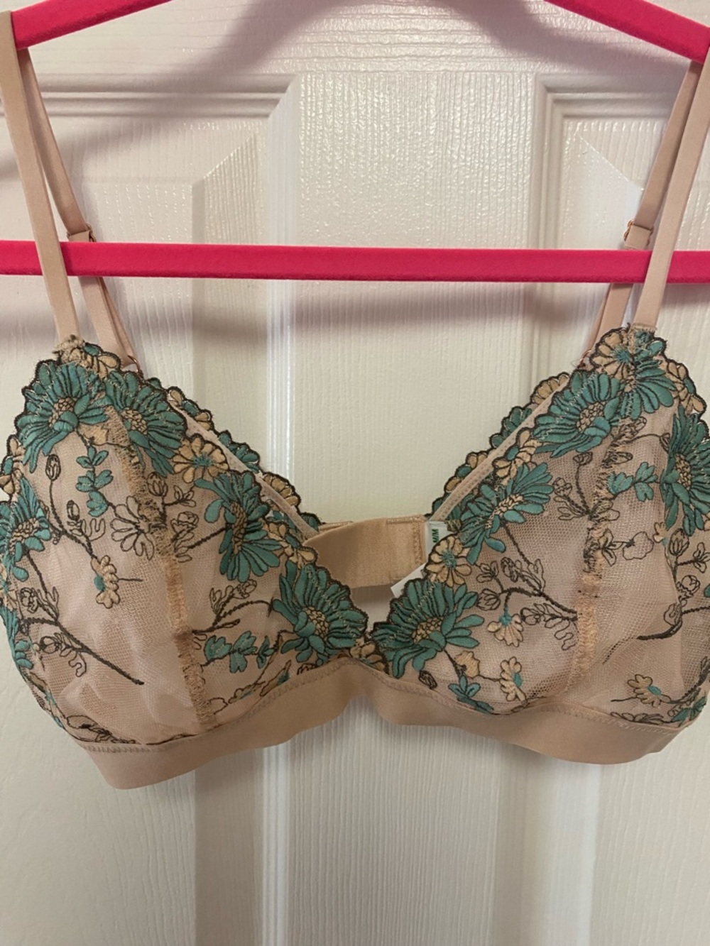 aerie Nude Sheer Bra with Teal Floral Embroidery